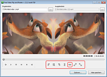 Free Video Flip and Rotate: Voreinstellungen auswählen