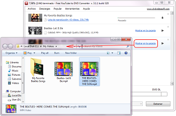 Free YouTube to DVD Converter: encontrar el vídeo