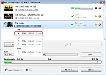 Free YouTube to DVD Converter: setting options