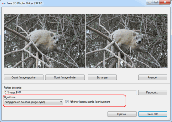 Free 3D Photo Maker: sélectionnez l'algorithme