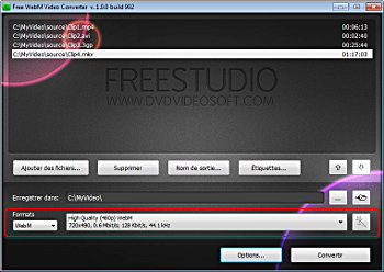 Free WebM Video Converter: sélectionnez les prédéfinitions