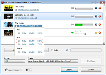 Free YouTube to MP3 Converter: établissez des options