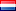 Dutch Dutch