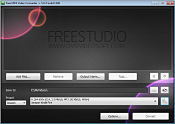 Free MP4 Video Converter: launch the program