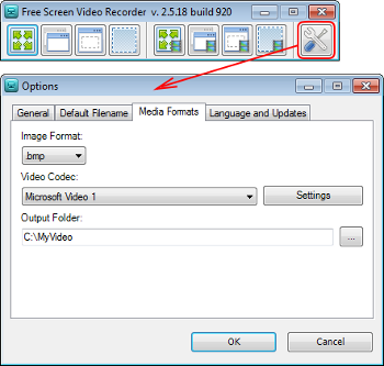 Free Screen Video Recorder: set options