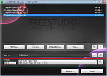 Free WebM Video Converter: select presets