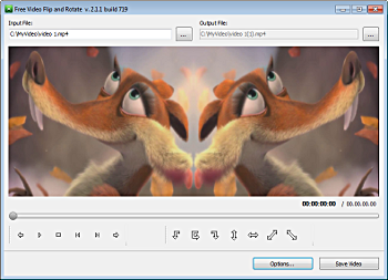 Free Video Flip and Rotate