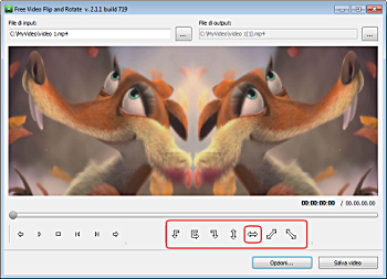 Free Video Flip and Rotate: seleziona i profili