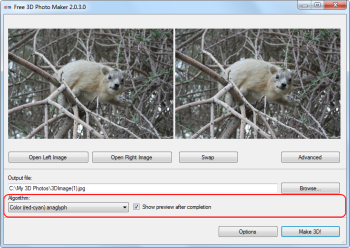 Free 3D Photo Maker: Selecciona um tipo de formato de saída