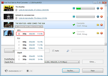 Free YouTube to iPod Converter: configurar opções