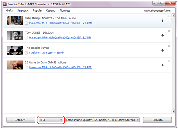Free YouTube to MP3 Converter: выберите выходной формат