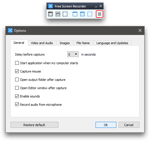 Free Screen Video Recorder: set options
