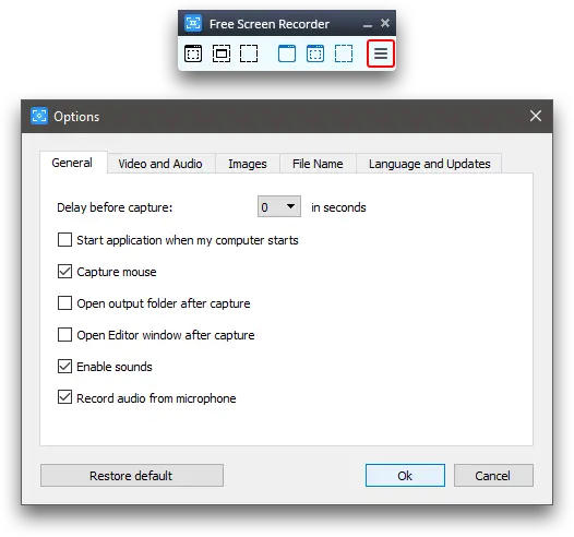Free Screen Video Recorder: configurar opciones