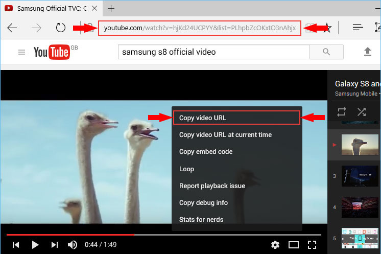 YouTube to MP4 & MP3 Converter