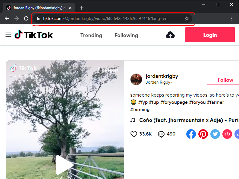 Скопируйте URL-адрес TikTok видео